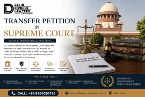 Transfer Petition In Supreme Court